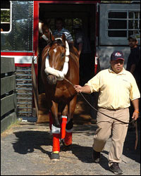 Afleet Alex