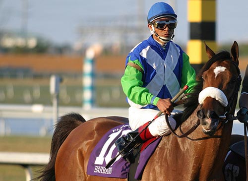 Barbaro