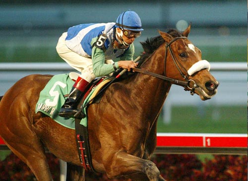 Barbaro