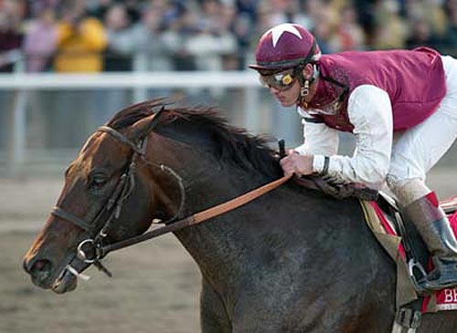 Bernardini