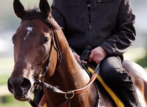 Bob Black Jack
