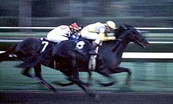 1989 Breeders' Cup Classic