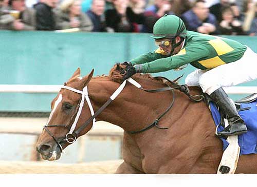 Curlin
