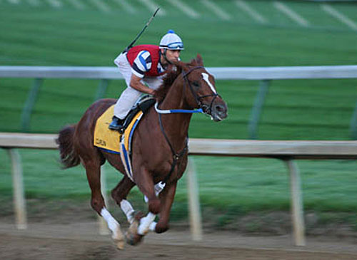 Curlin