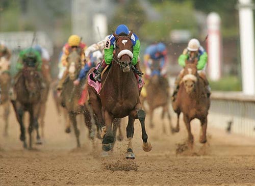 Barbaro