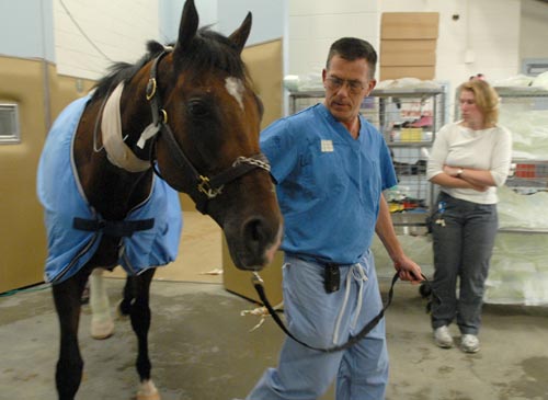 Dr. Dean Richardson and Barbaro
