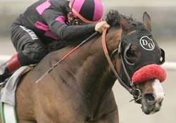 Lava Man