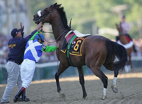 Barbaro