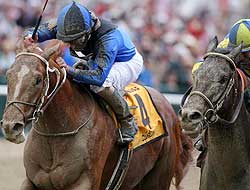 Curlin and Street Sense battle to the wire in the 2007 Preakness Stakes.