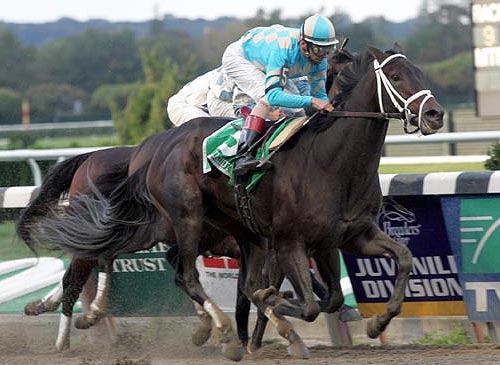 Scat Daddy