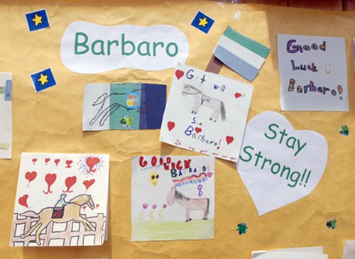 Barbaro signs