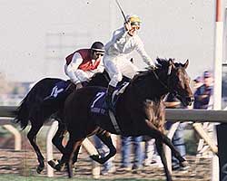 1996 Breeders' Cup Turf