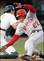 David Eckstein