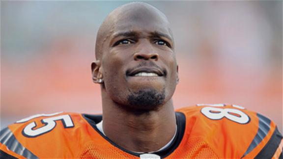 Marvin Lewis Disses Ochocinco