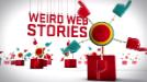 Video - Weird Web Stories