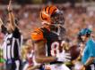 Cincinnati Bengals