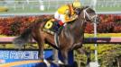 Horse Racing: Forward Gal