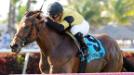 Horse Racing: Pan Am Stakes