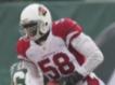 Arizona Cardinals