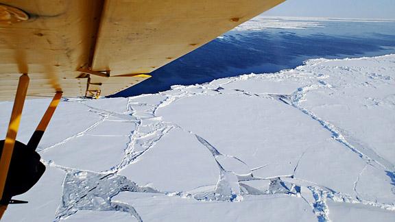 Dm_130419_iditarod_sea_ice