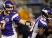 Minnesota Vikings