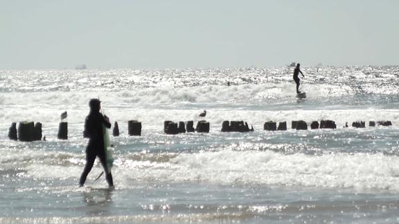 surf shop jetty road