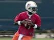 New York Jets