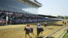 Horse Racing: Pimlico Special