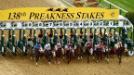 Horse Racing: Dixie Stakes