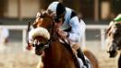 Horse Racing: Vanity Handicap