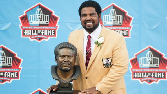 Hall of Fame: Parcells, Ogden, Allen inducted