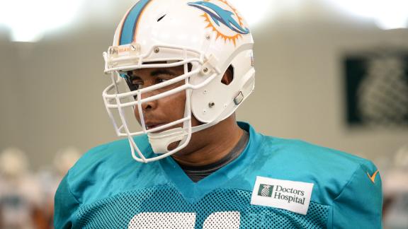 Dolphins owner plans to meet with Martin