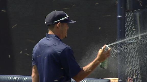 Swarm of bees delays Red Sox-Yankees tilt