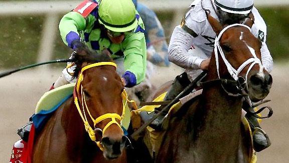 FLORIDA DERBY COM florida derby com: