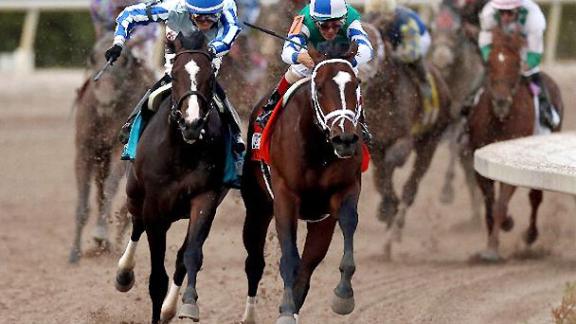 FLORIDA DERBY COM florida derby com: