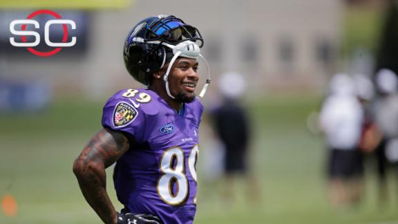 Steve Smith Sr. Stats, News, Videos, Highlights, Pictures ...
