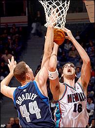 Shawn Bradley