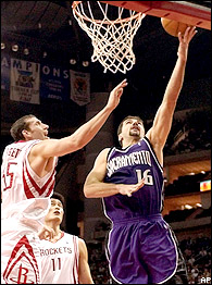 Peja Stojakovic