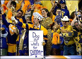 LSU fans