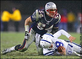 Tedy Bruschi