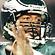 Donovan McNabb
