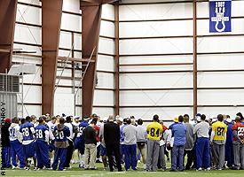 Colts