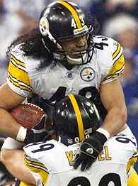 Troy Polamalu