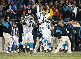 Panthers