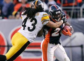 Troy Polamalu