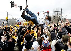 Troy Polamalu
