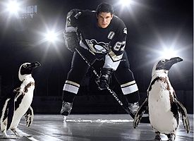Sidney Crosby