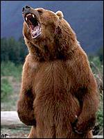 Grizzly