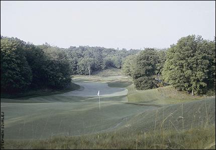 Treetops North