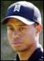 Woods
